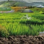 Poljoprivreda Franklin Electric