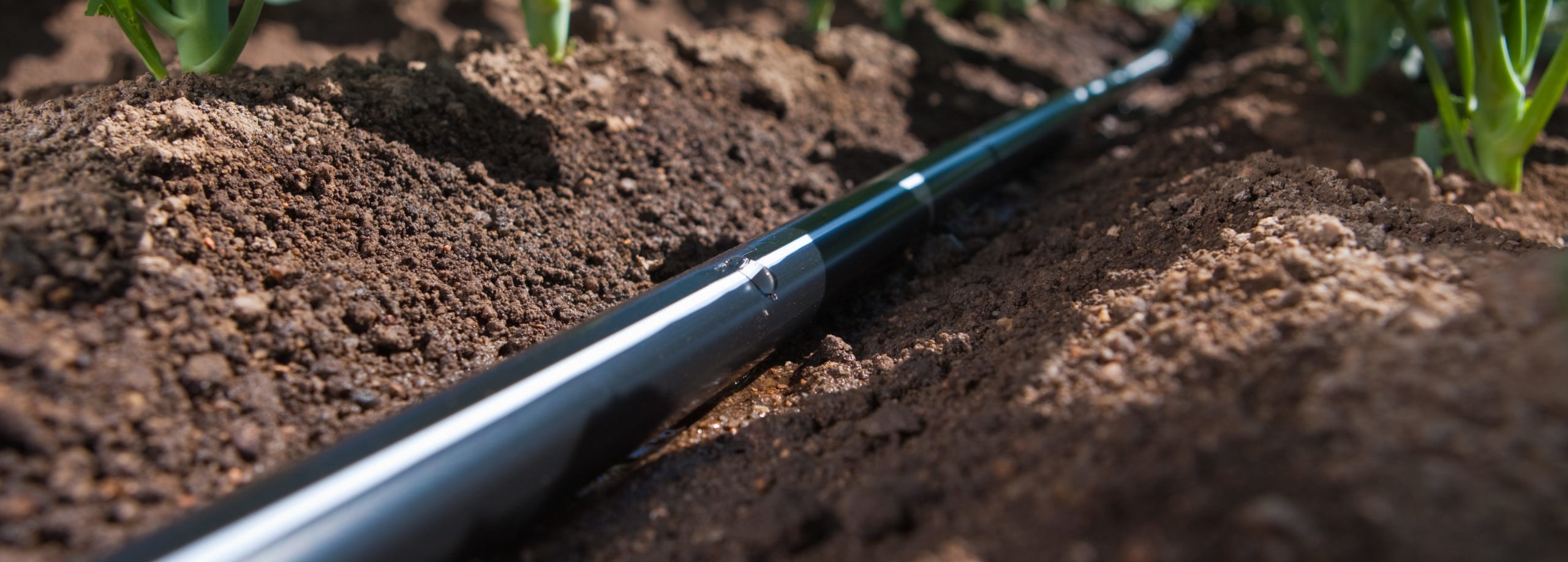 Trake za navodnjavanje